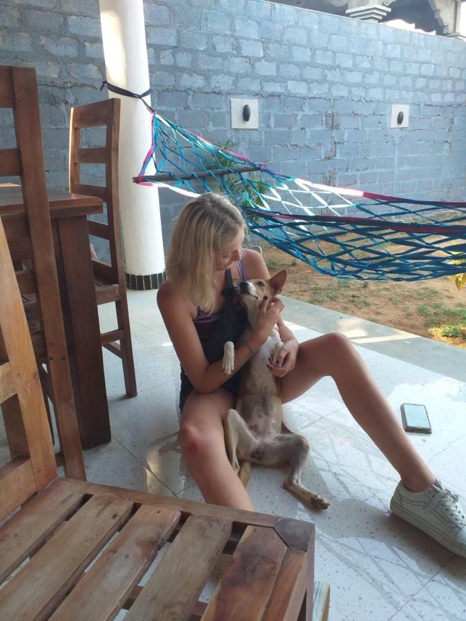 Alcatraz Hostel Аругам Бей Екстериор снимка